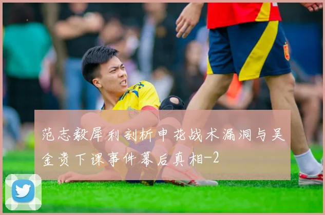 范志毅犀利剖析申花战术漏洞与吴金贵下课事件幕后真相