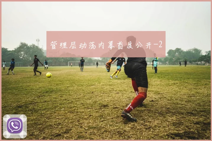 管理层动荡内幕首度公开